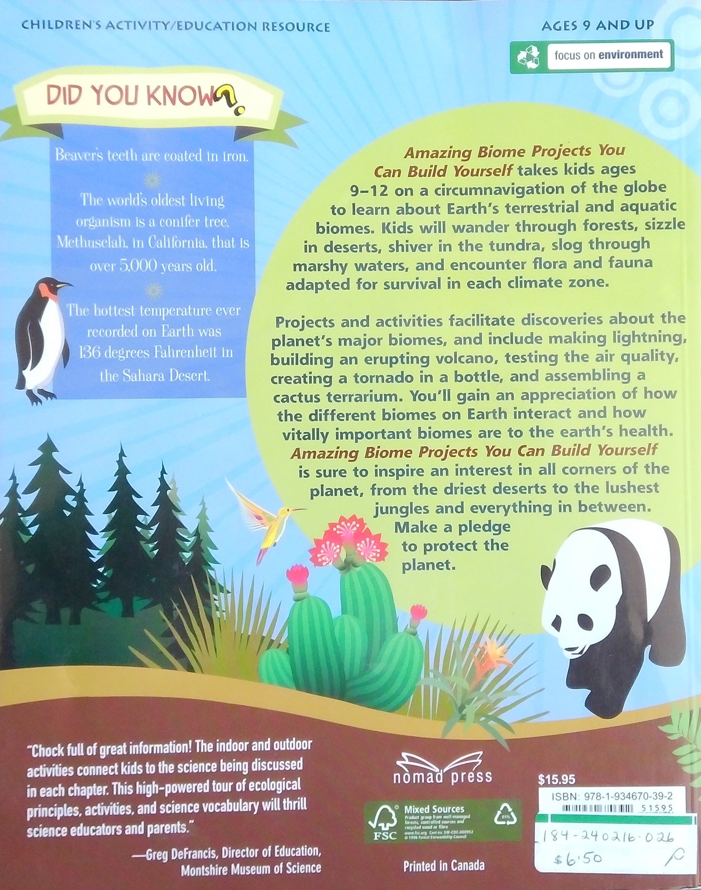 Amazing Biome Projects You Can Build Yourself