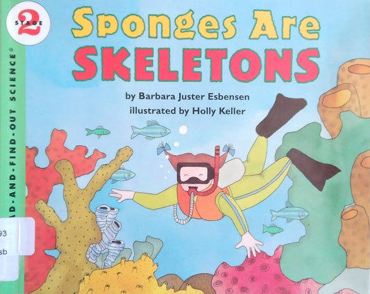 Sponges Are Skeletons