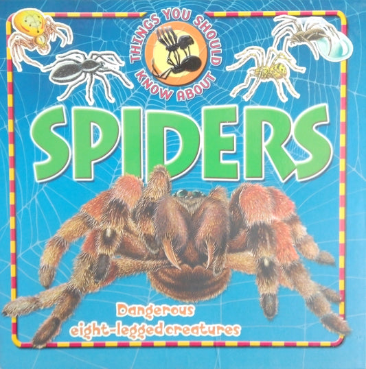 Things You Should Know About Spiders