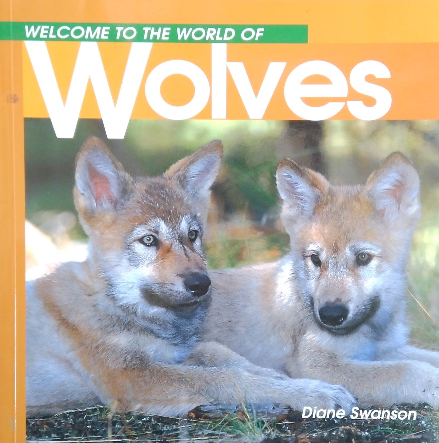 Welcome To The World Of Wolves