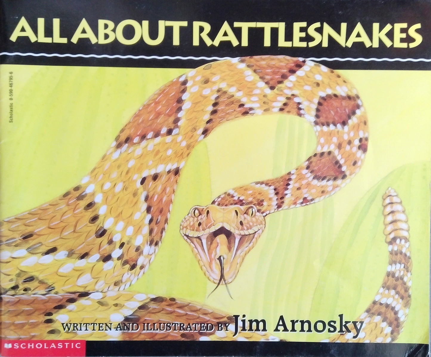 All About Rattlesnakes