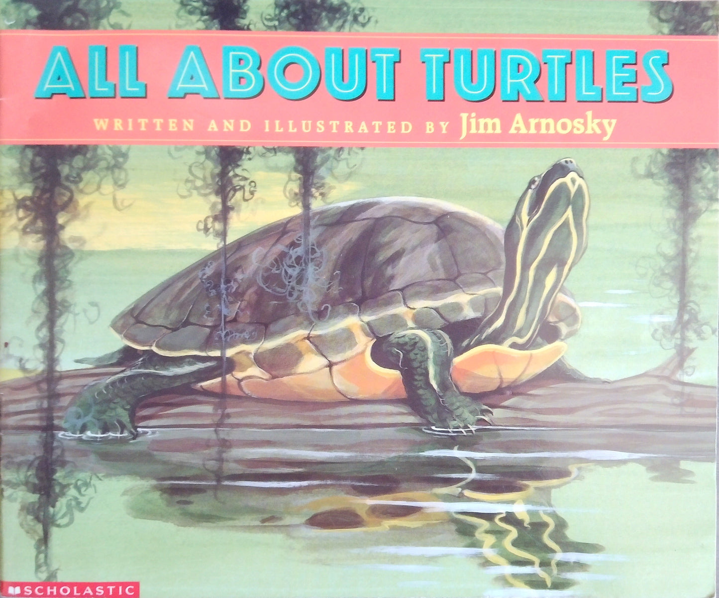 All About Turtles