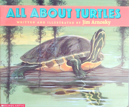 All About Turtles