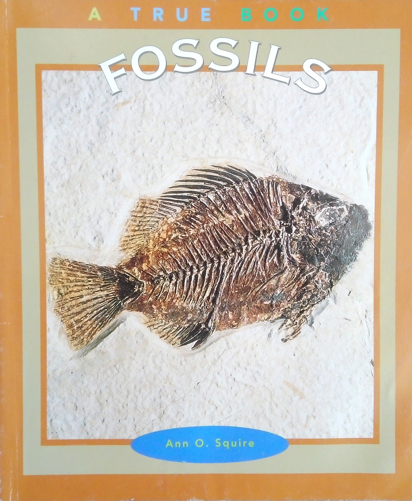 Fossils