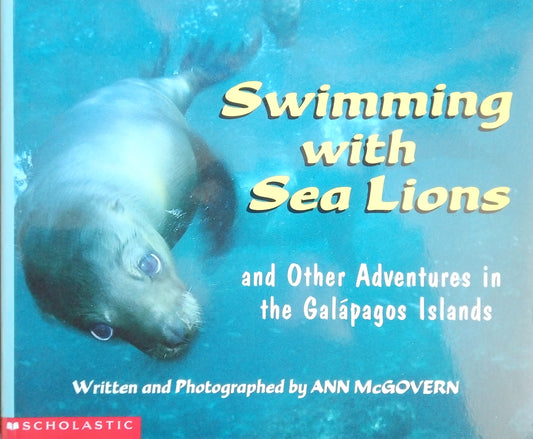 Swimming With Sea Lions