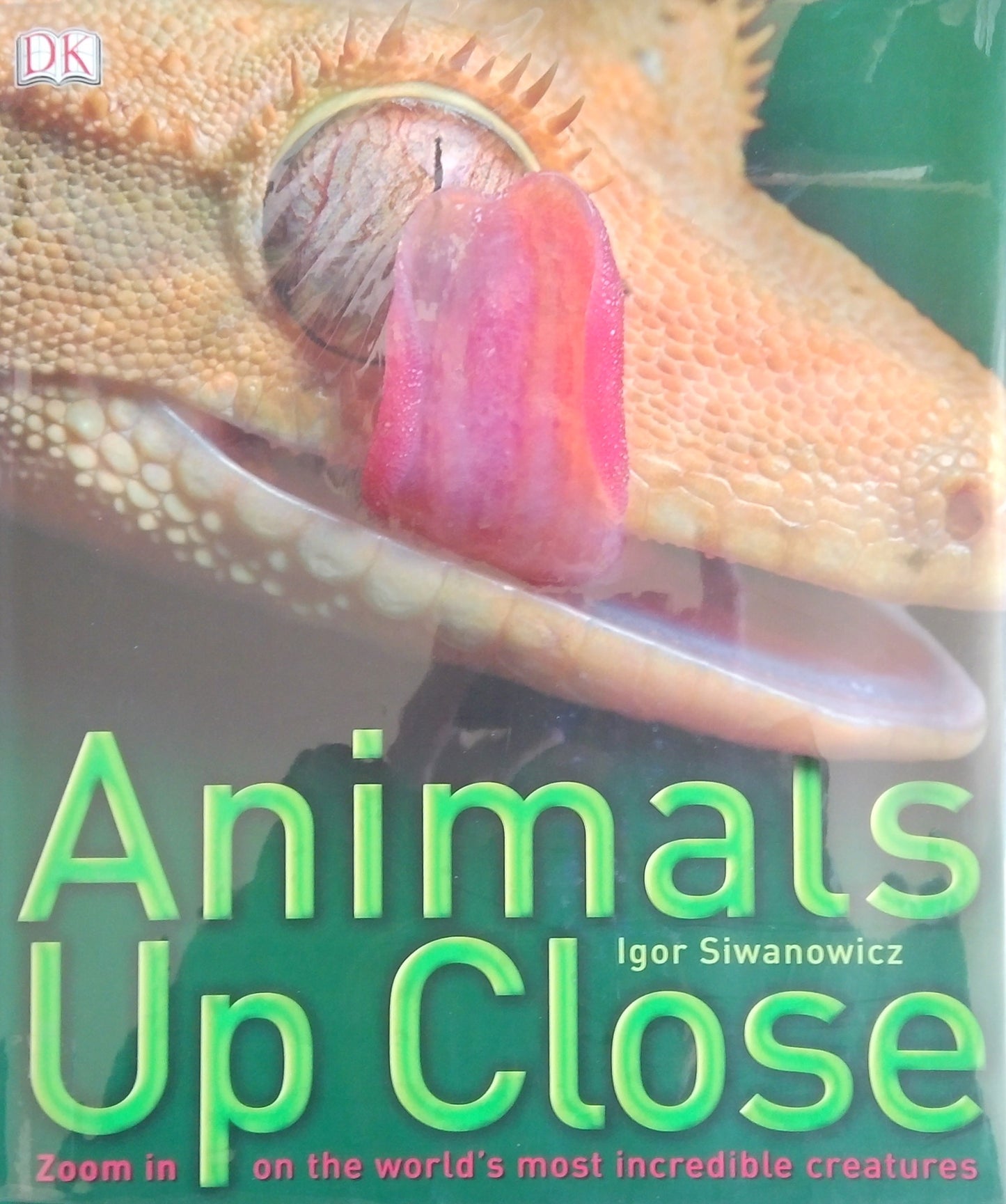 Animals Up Close