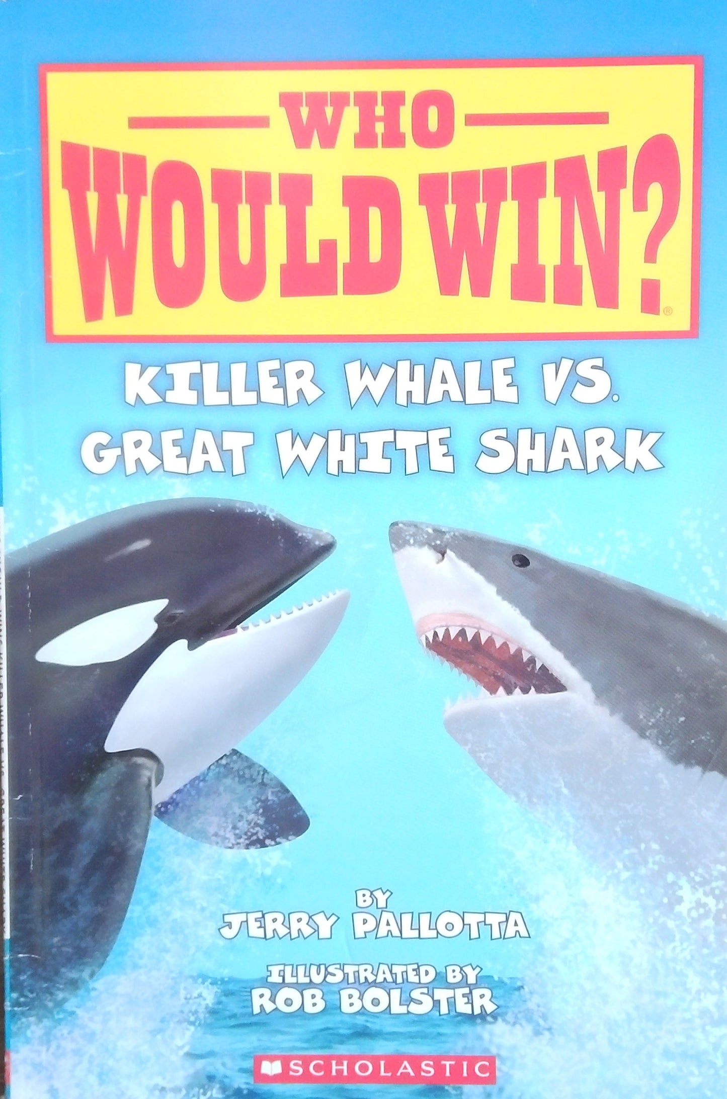 Who Would Win? Killer Whale vs. Great White Shark