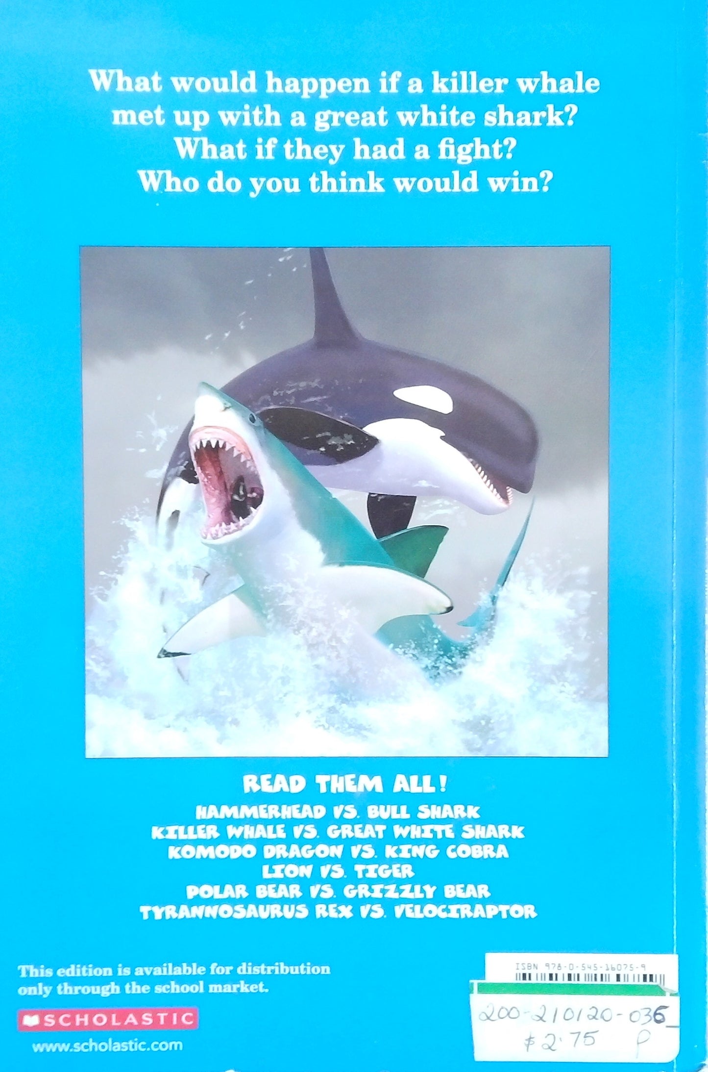 Who Would Win? Killer Whale vs. Great White Shark