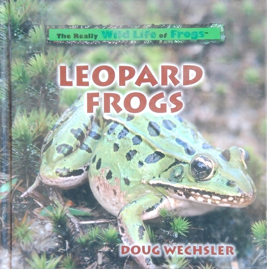 Leopard Frogs