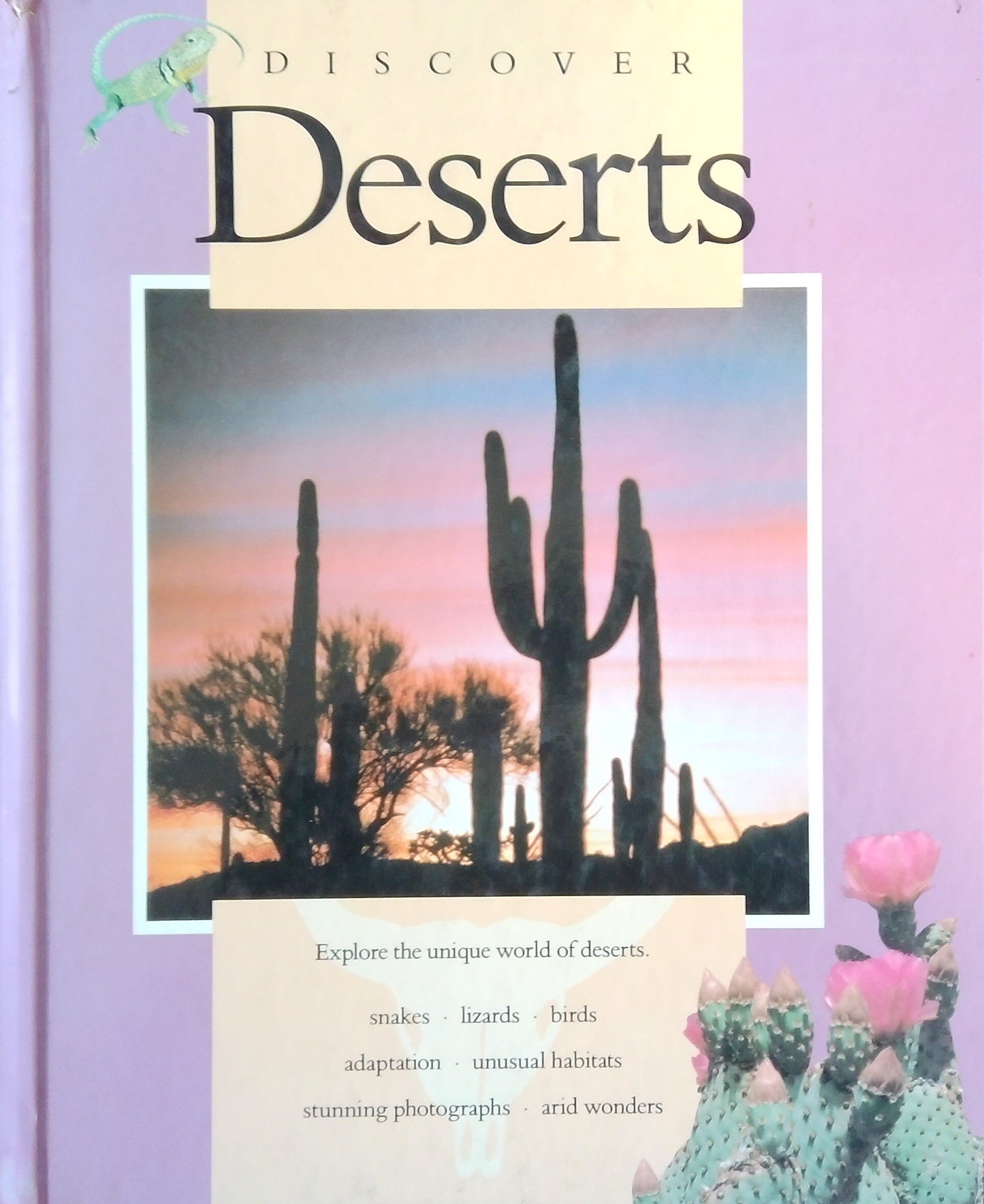 Discover Deserts