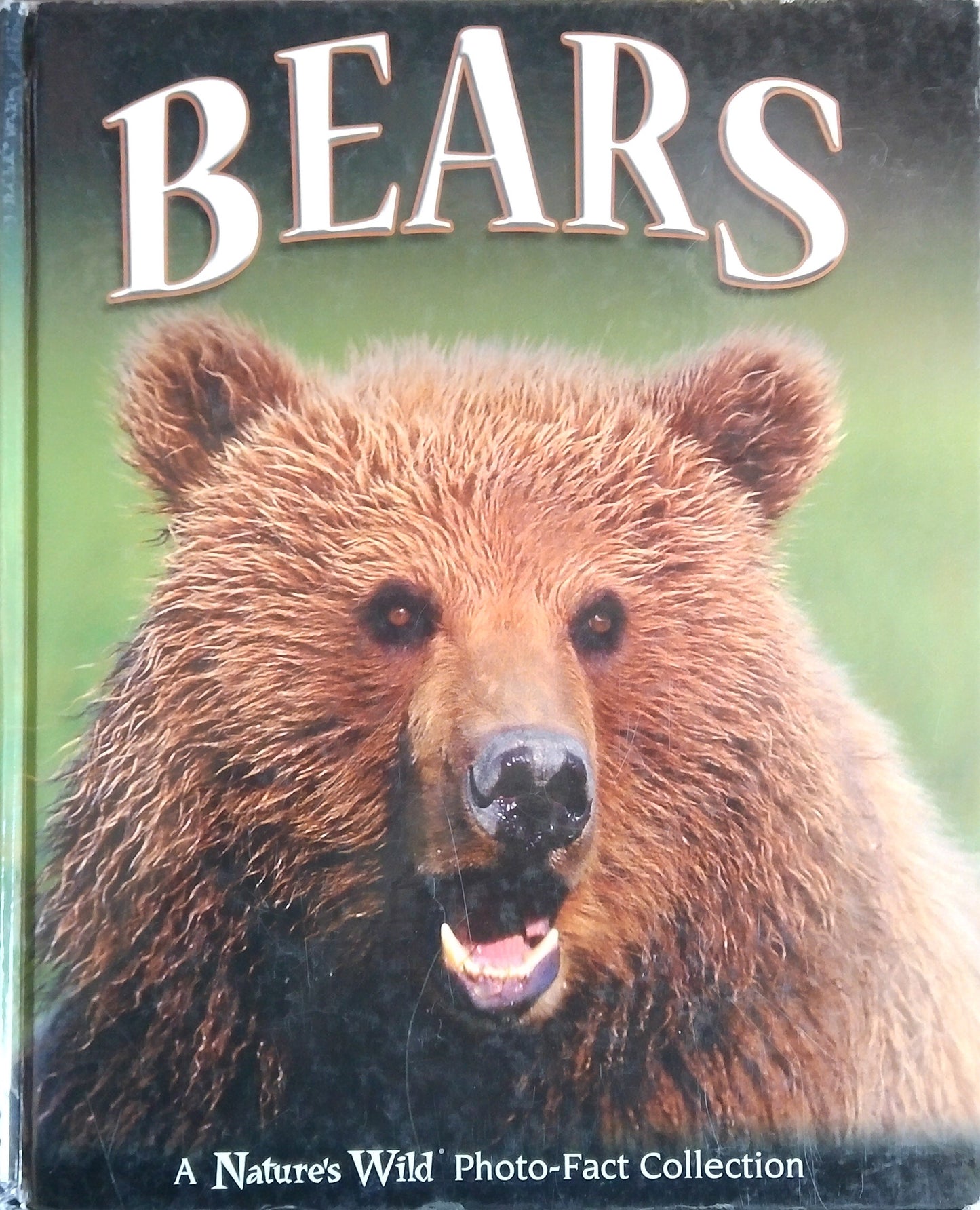 Bears