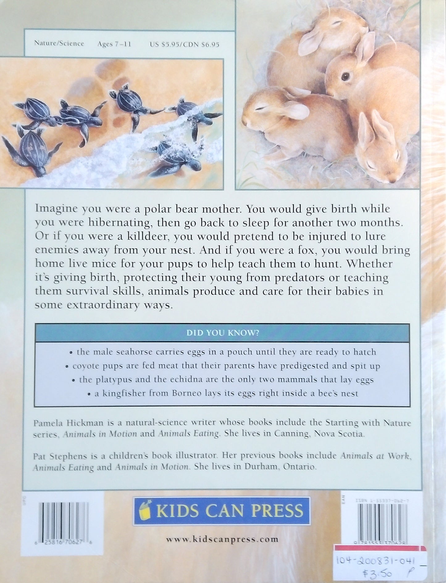 Animals And Their Young