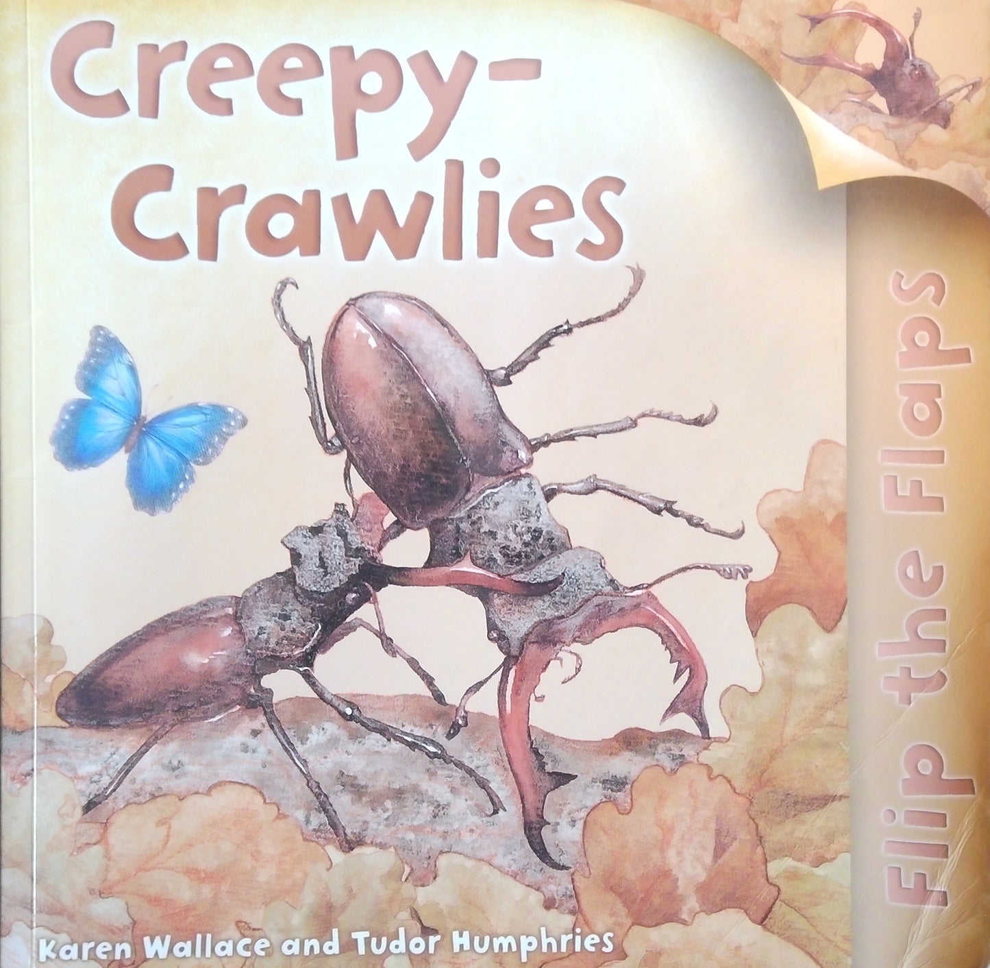 Flip The Flaps: Creepy Crawlies