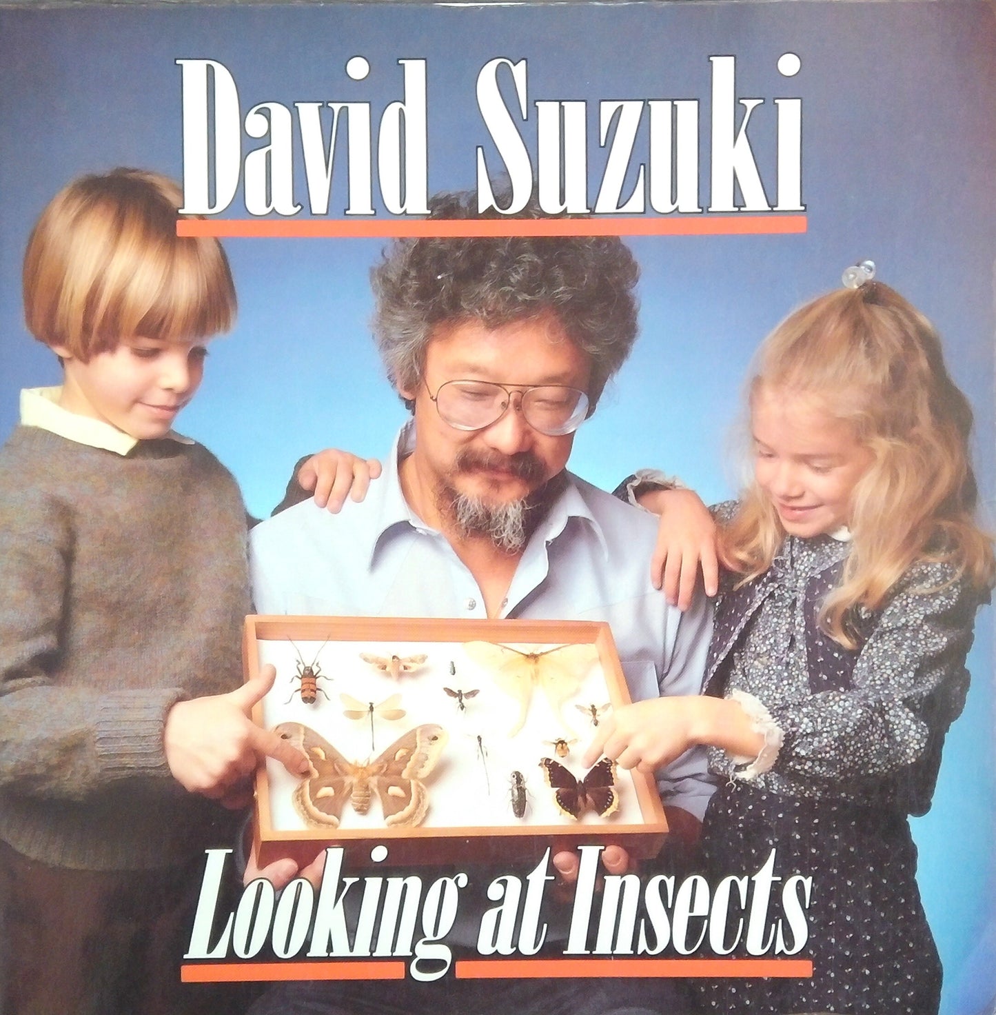 Looking At Insects