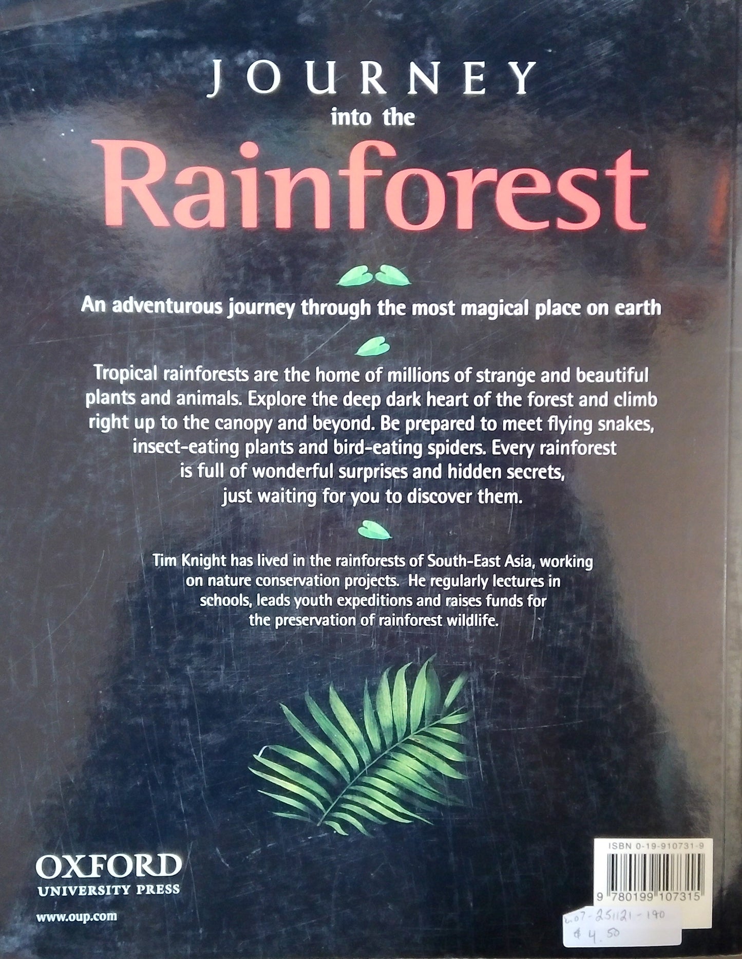 Journey Into The Rainforest