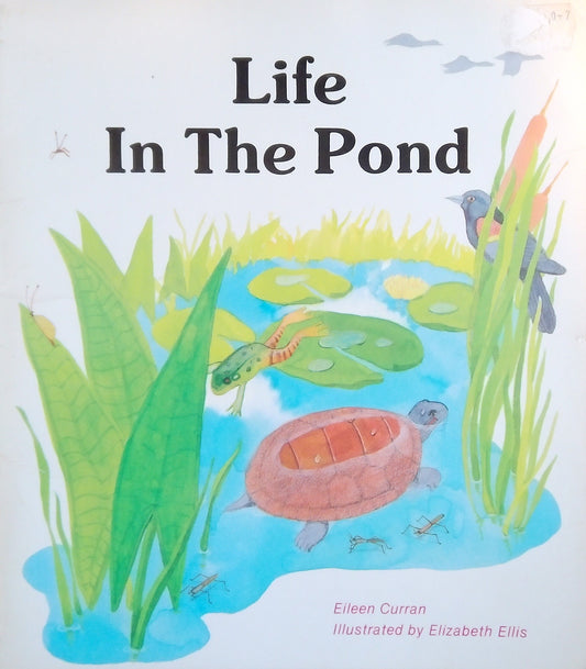 Life In The Pond
