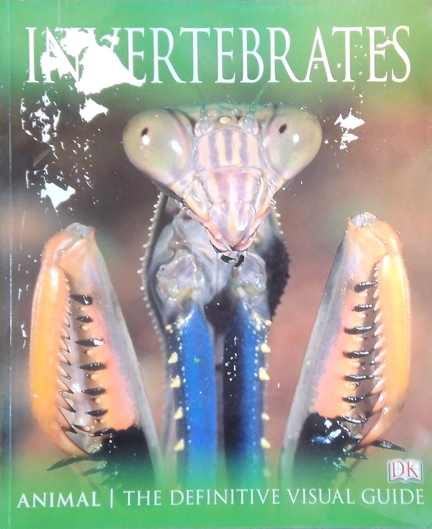 Invertebrates