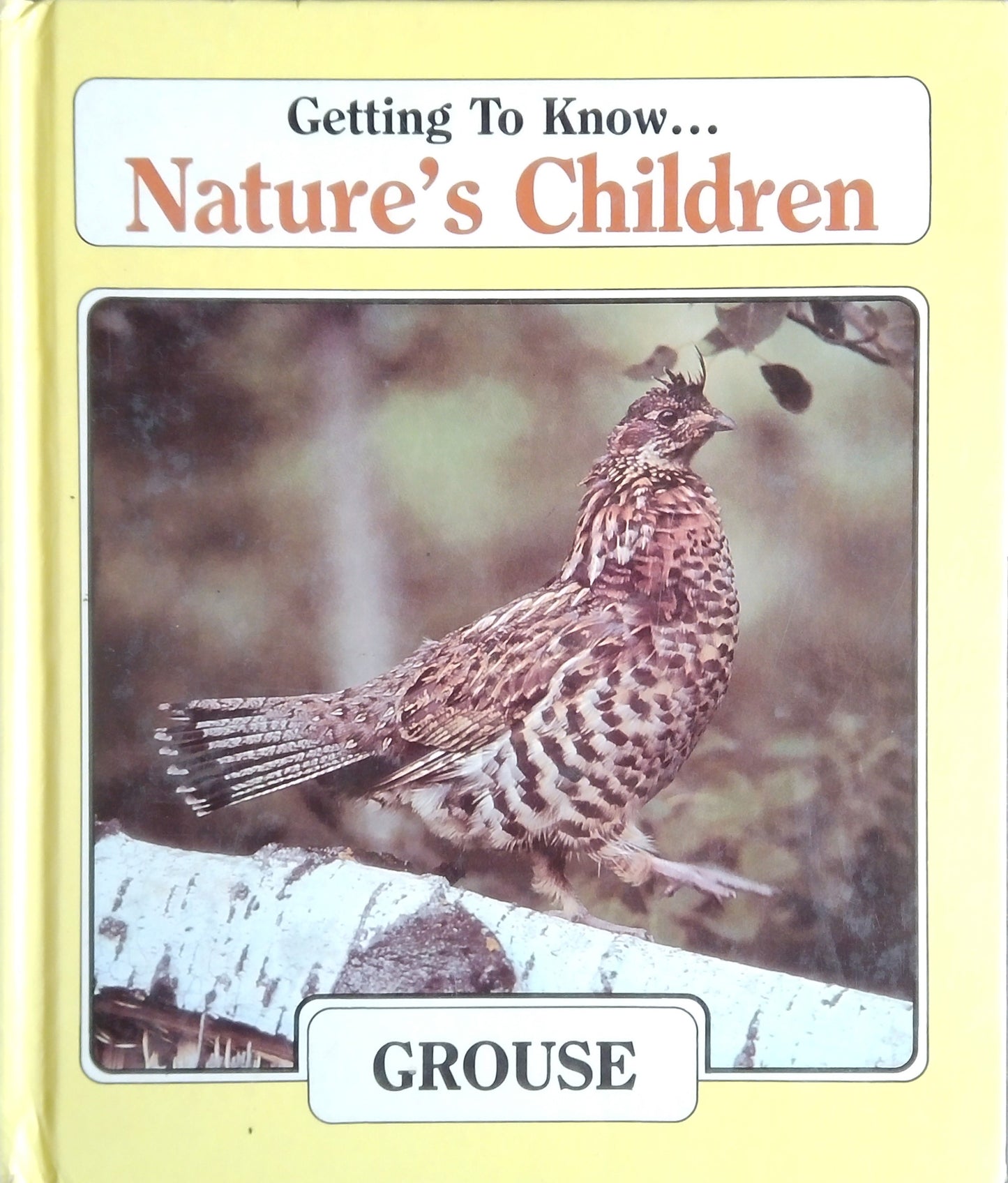 Getting To Know Nature's Children... Grouse & Muskox