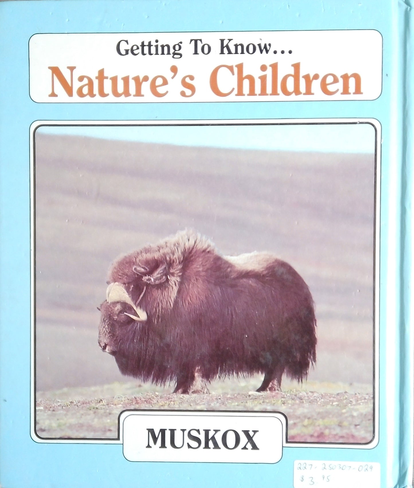 Getting To Know Nature's Children... Grouse & Muskox