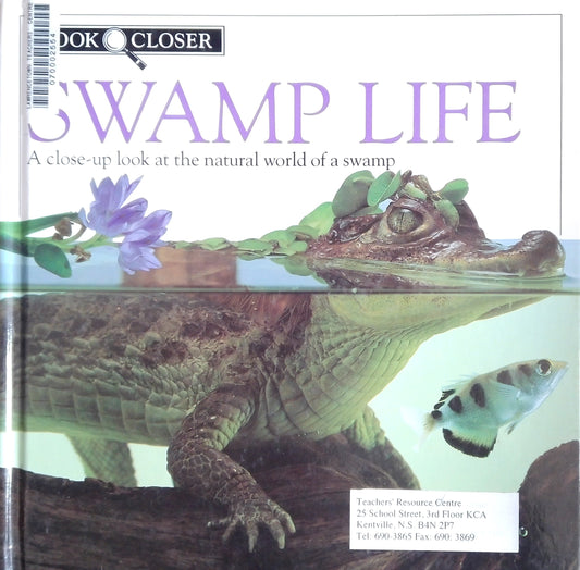 Look Closer: Swamp Life