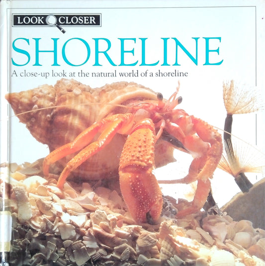 Look Closer: Shoreline