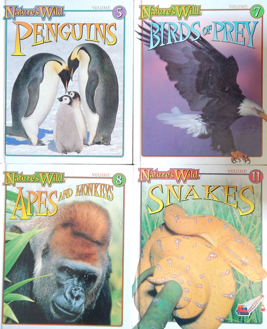 Nature's Wild Set Of 4