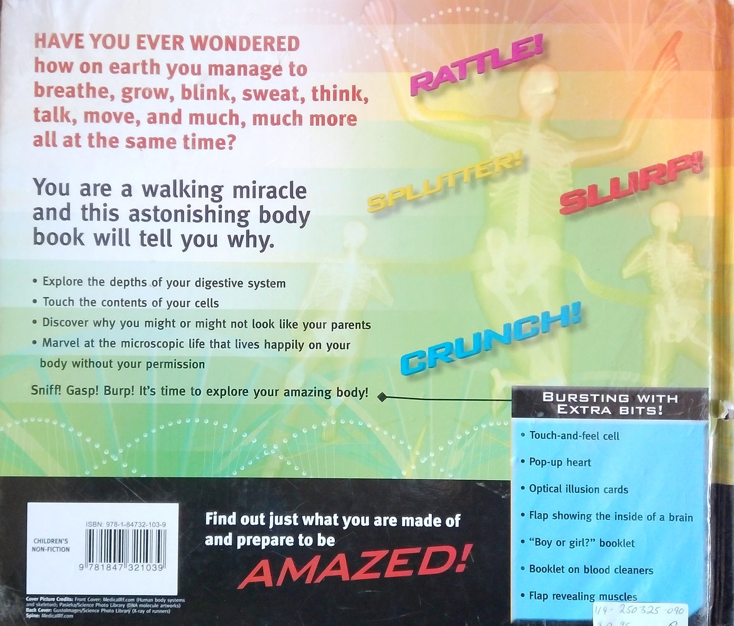 Your Amazing Body