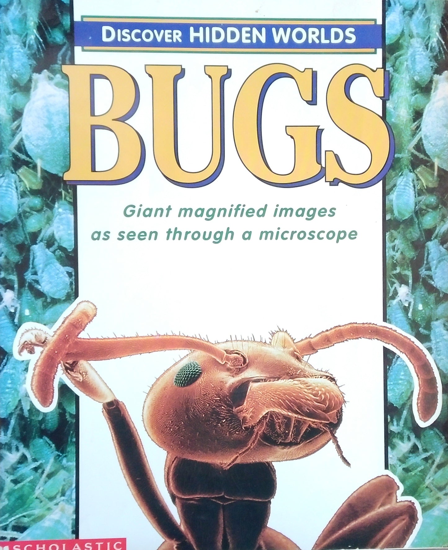 Bugs