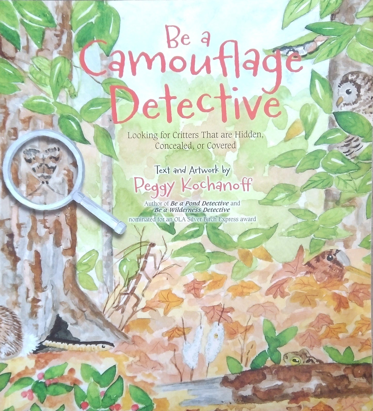 Be A Camouflage Detective