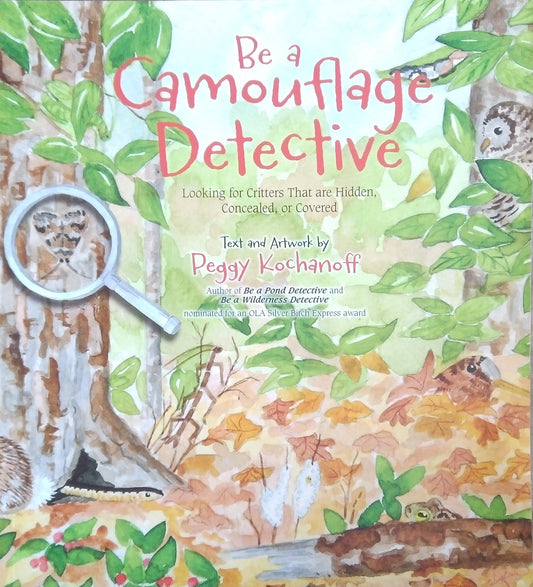 Be A Camouflage Detective