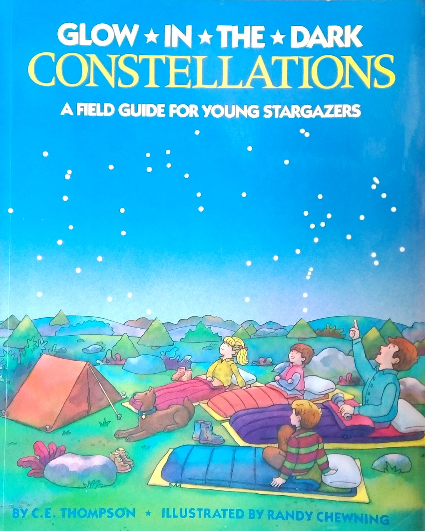 Glow-In-The-Dark Constellations
