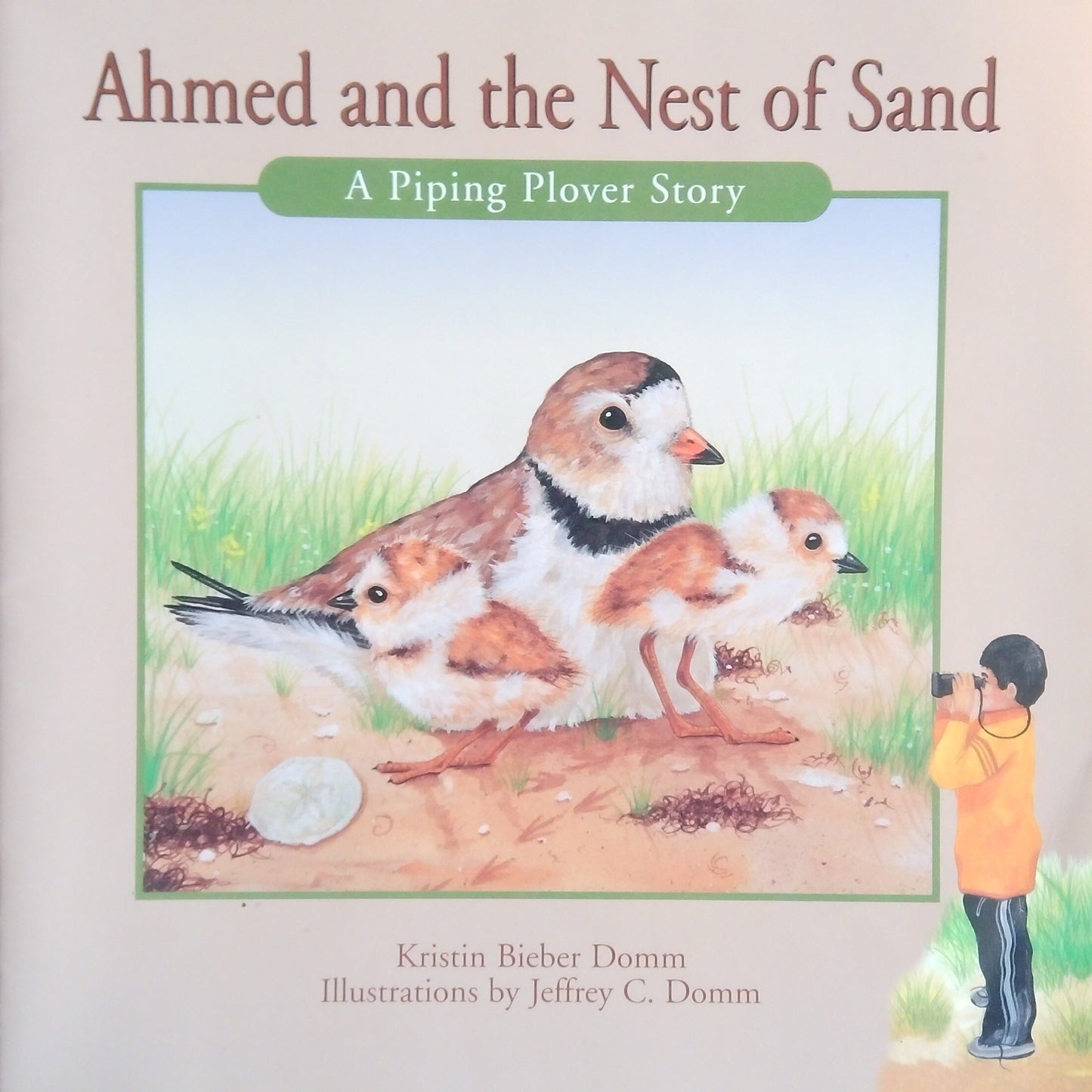 Ahmed And The Nest Of Sand