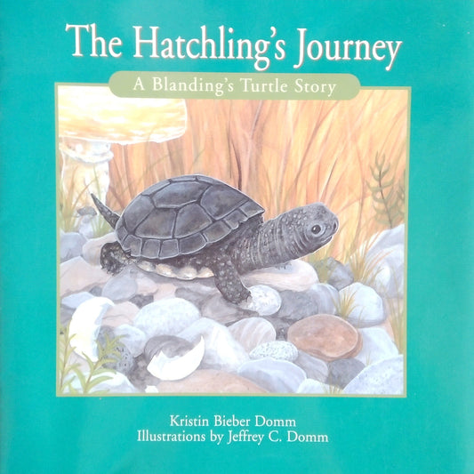 The Hatchling's Journey