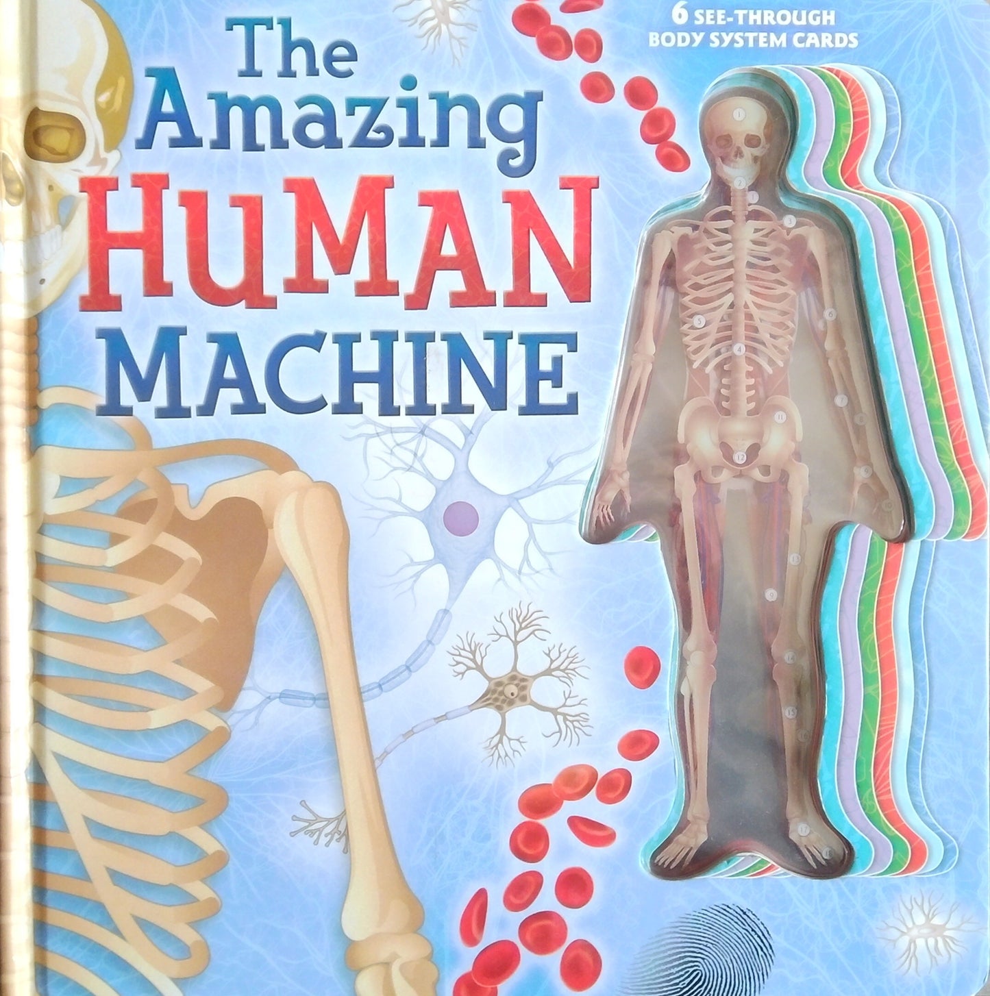 The Amazing Human Machine