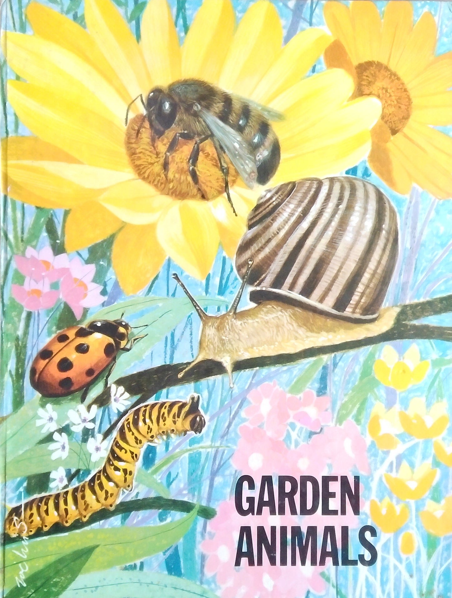 Garden Animals
