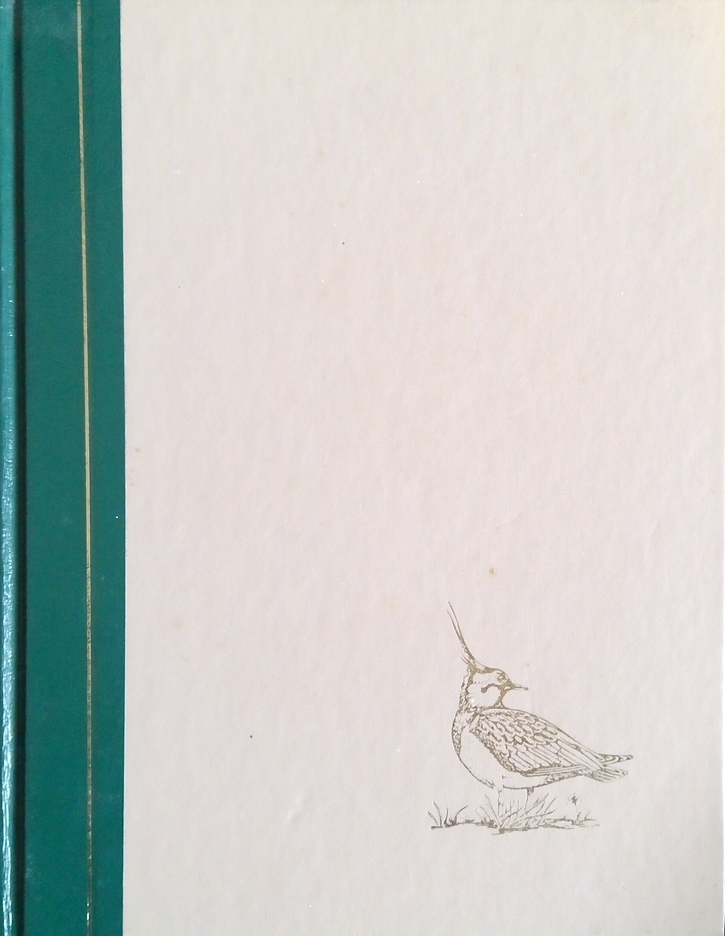 Birds: Their Life, Their Ways, Their World