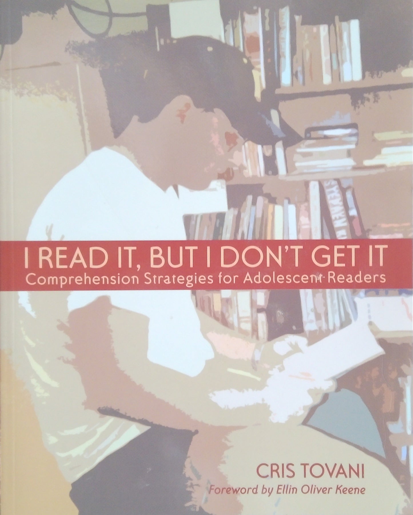 I Read It, But Don't Get It
