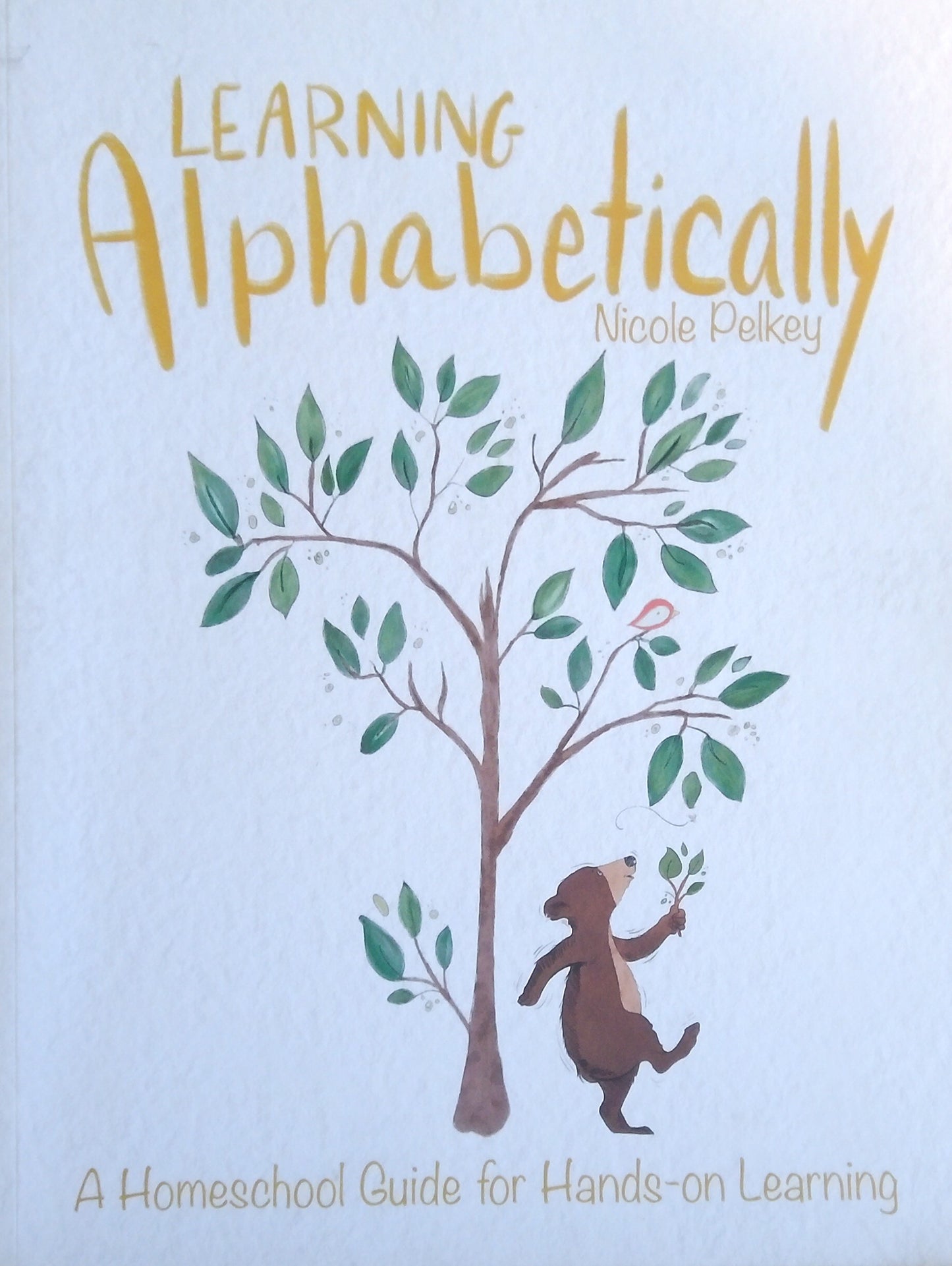 Learning Alphabetically