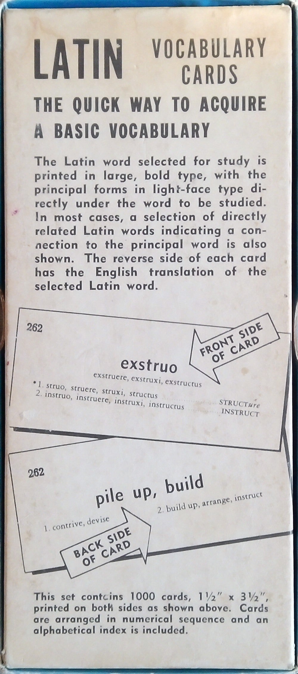 Latin Vocabulary Cards