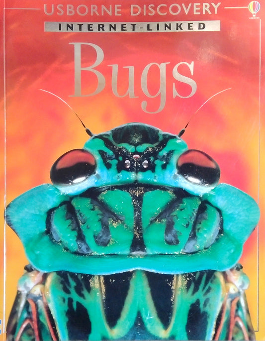 Usborne Discoveries: Bugs
