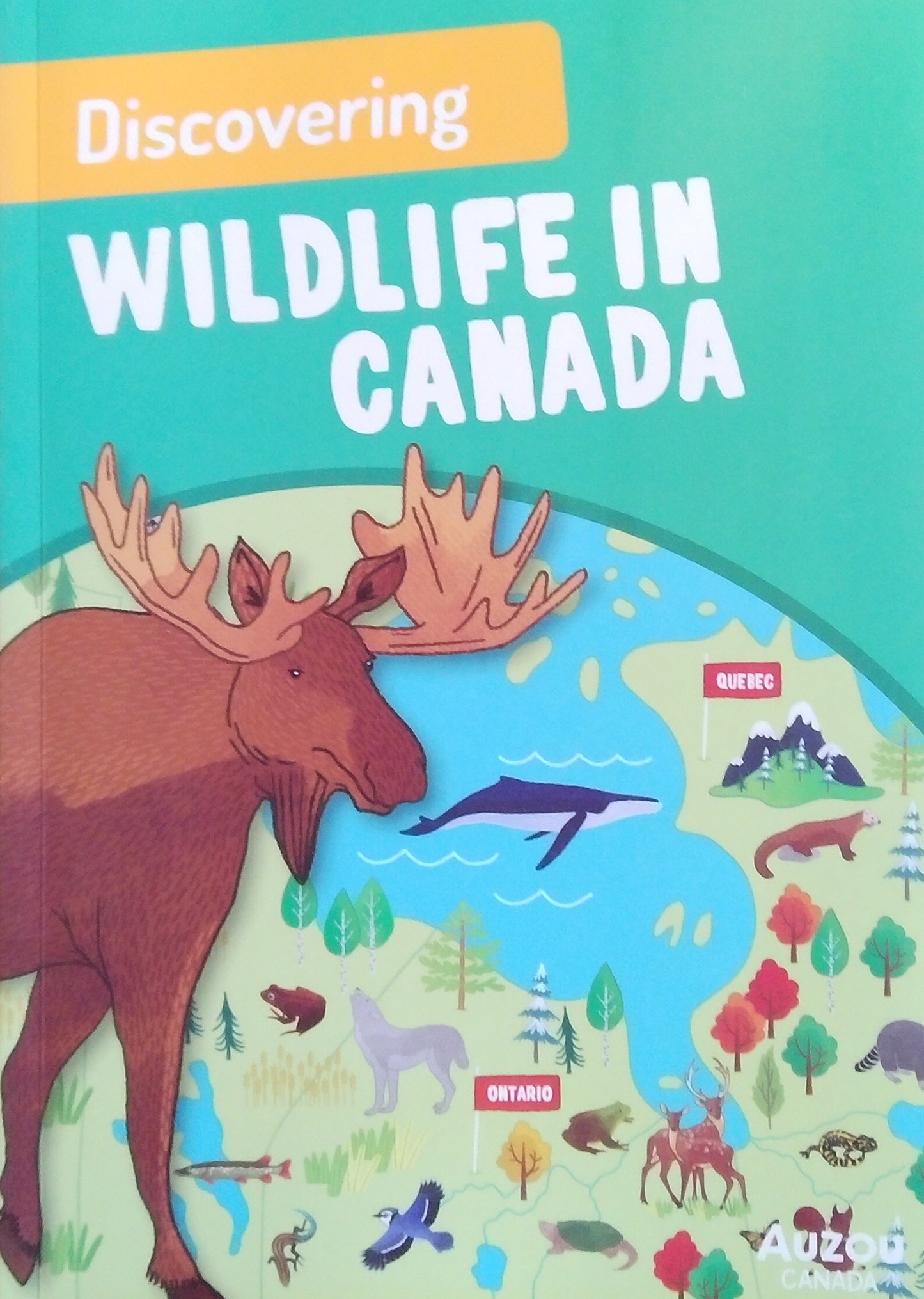 Discovering Wildlife In Canada