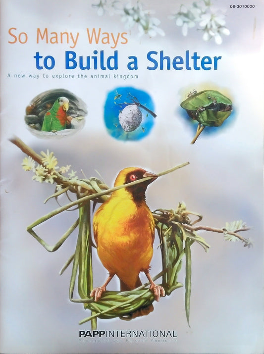 So Many Ways To Build A Shelter
