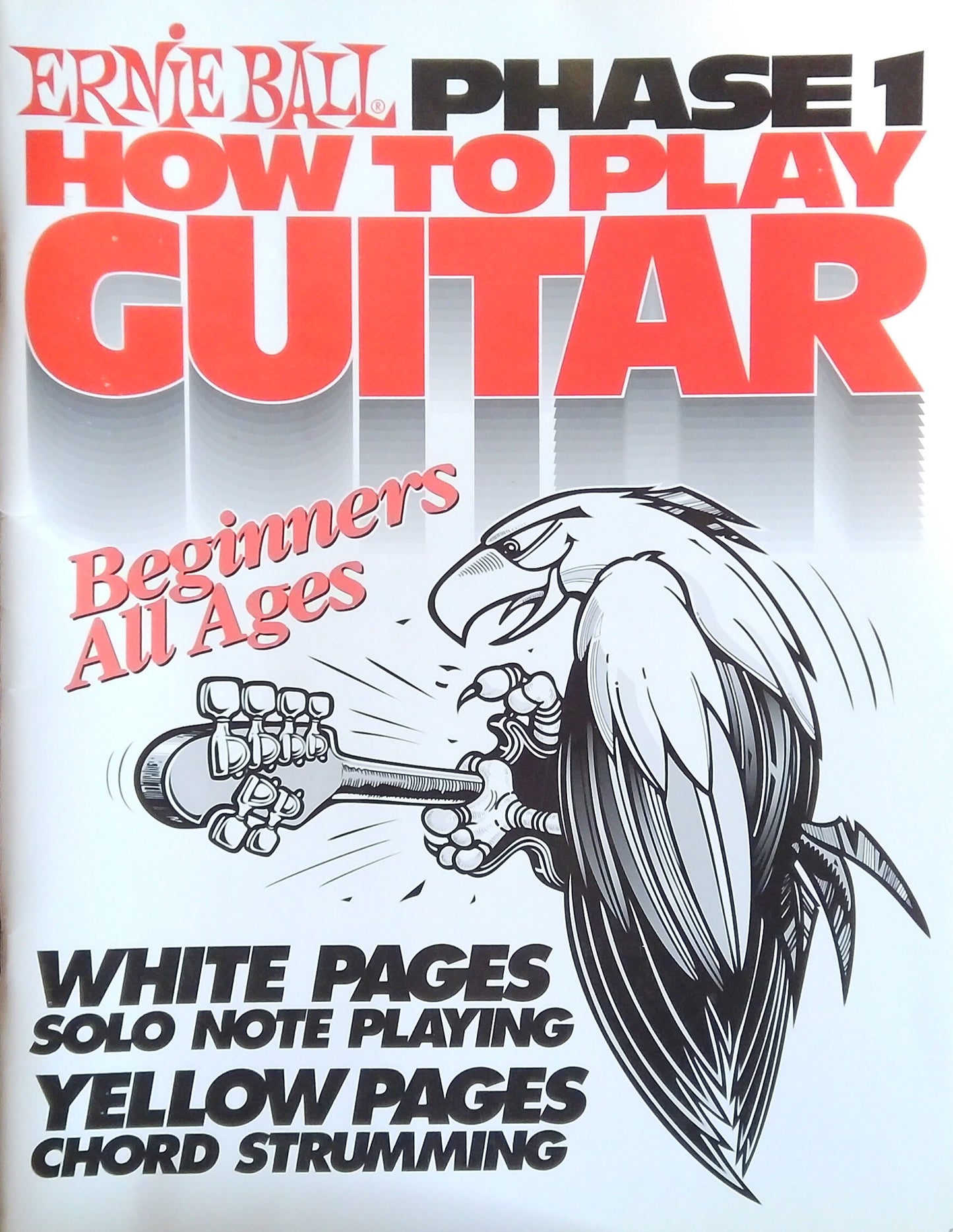 Ernie Bill Phase 1: How To Play Guitar