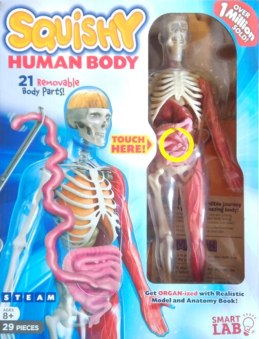 Squishy Human Body