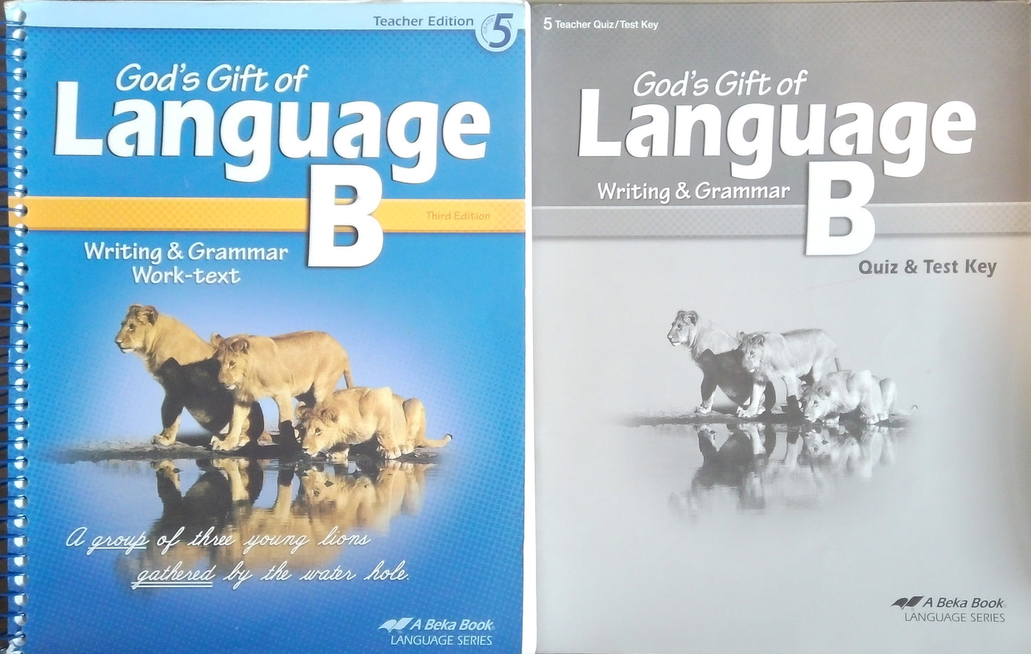 God's Gift Of Language B: Teacher Bundle