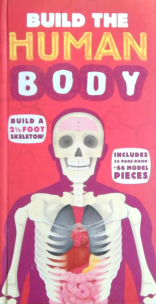 Build The Human Body