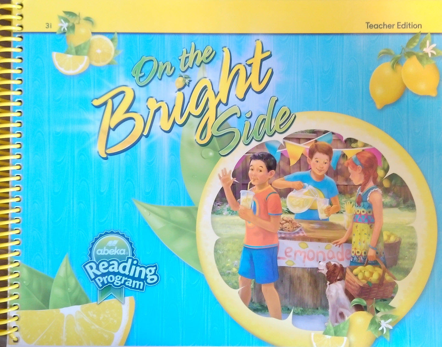 On The Bright Side: Teacher Edition