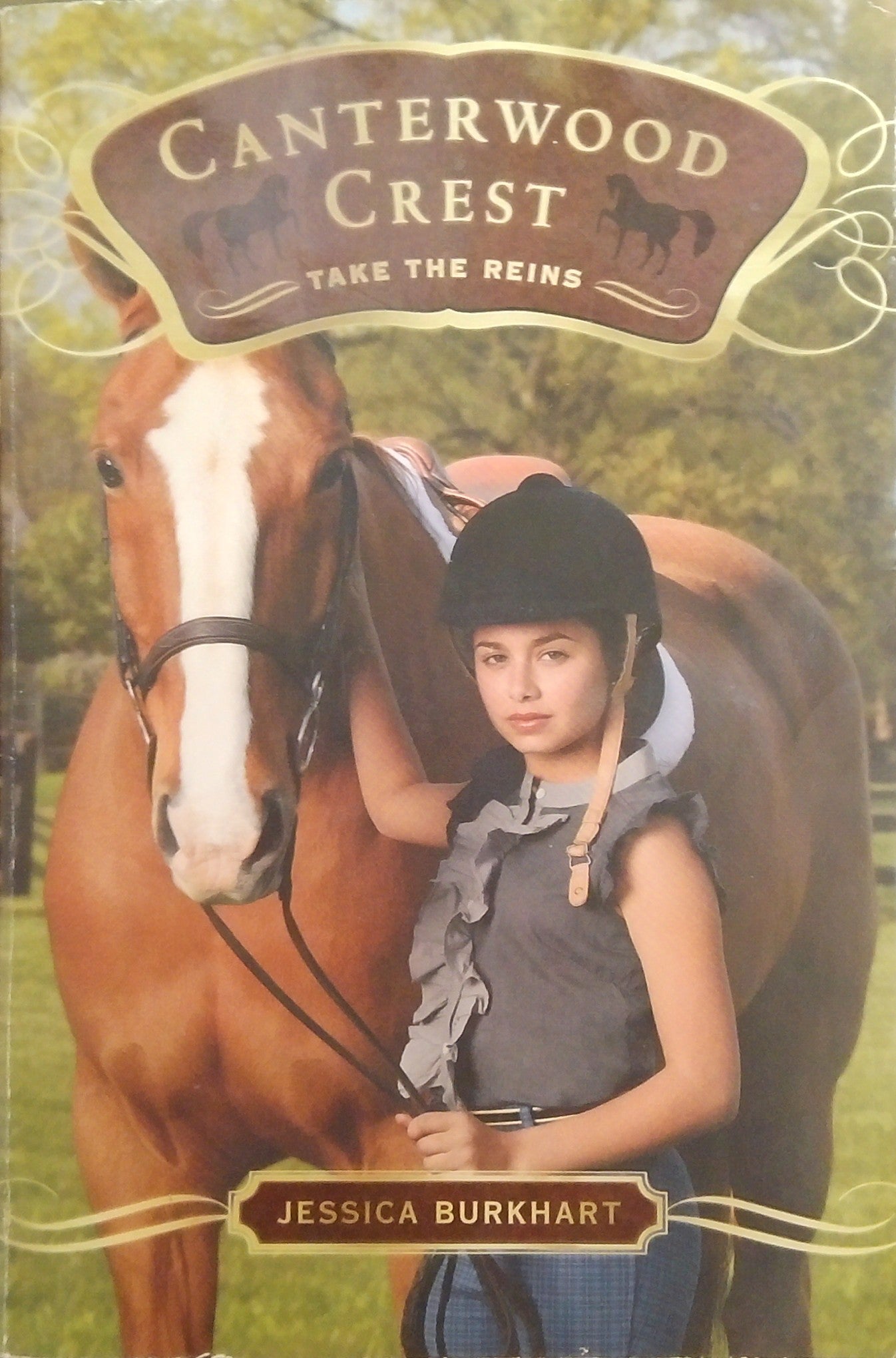 Canterwood Crest #1: Take The Reins