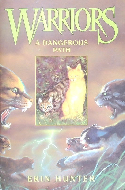 Warriors: A Dangerous Path