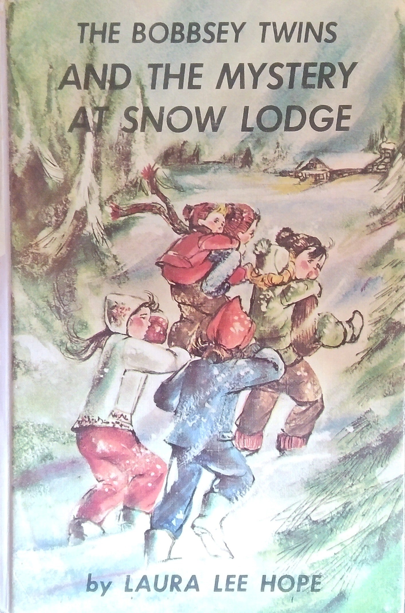 The Bobbsey Twins And The Mystery At Snow Lodge